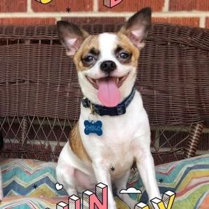 Meet your Posher, Jeanette